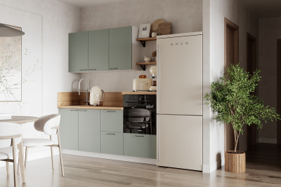 КГ 1950 Эмаль, Олива Арника РМ в.4