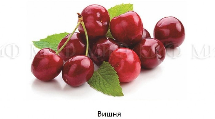 Обеденный стол овальный с фотопечатью