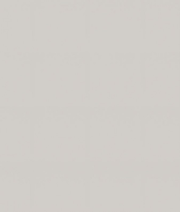 Ф-22 Альфа (ШН2Я 400) МДФ холст белый