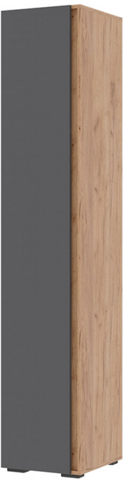 Хелен ПН 01 Пенал закрытый (0,400х2,100х0,460) серый графит/дуб крафт золото